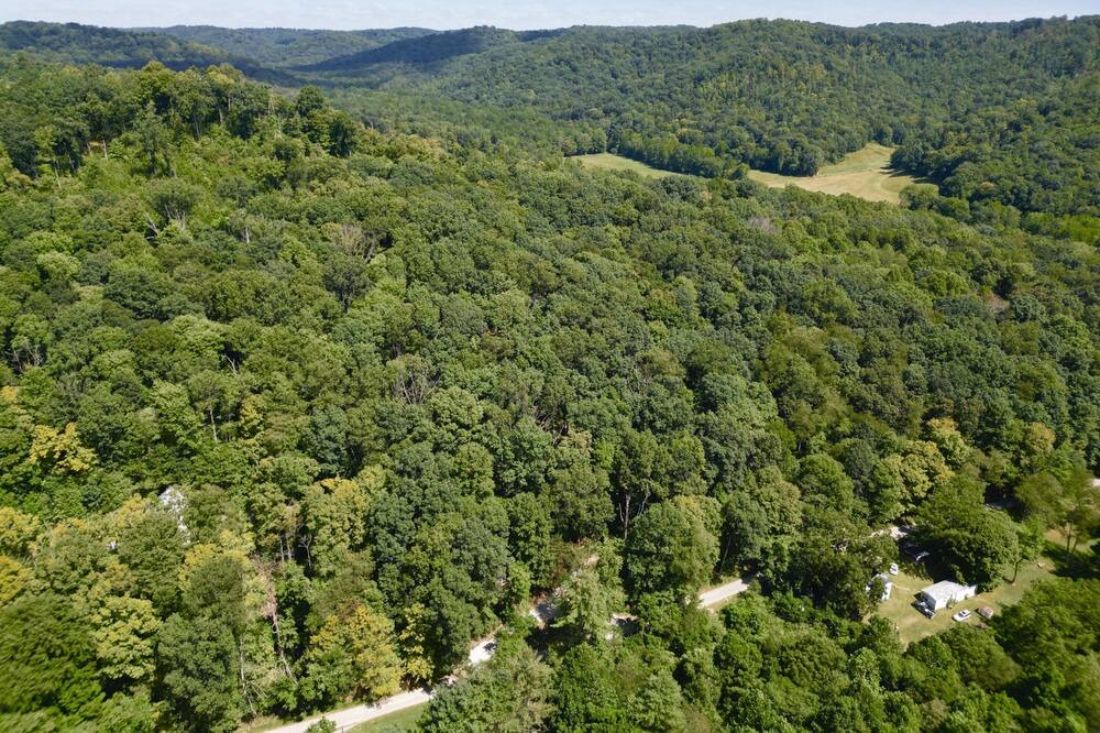 Photo of Outdoor in Hallsville