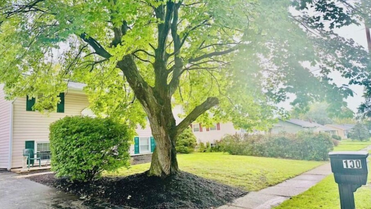 Photo of Outdoor in Newark