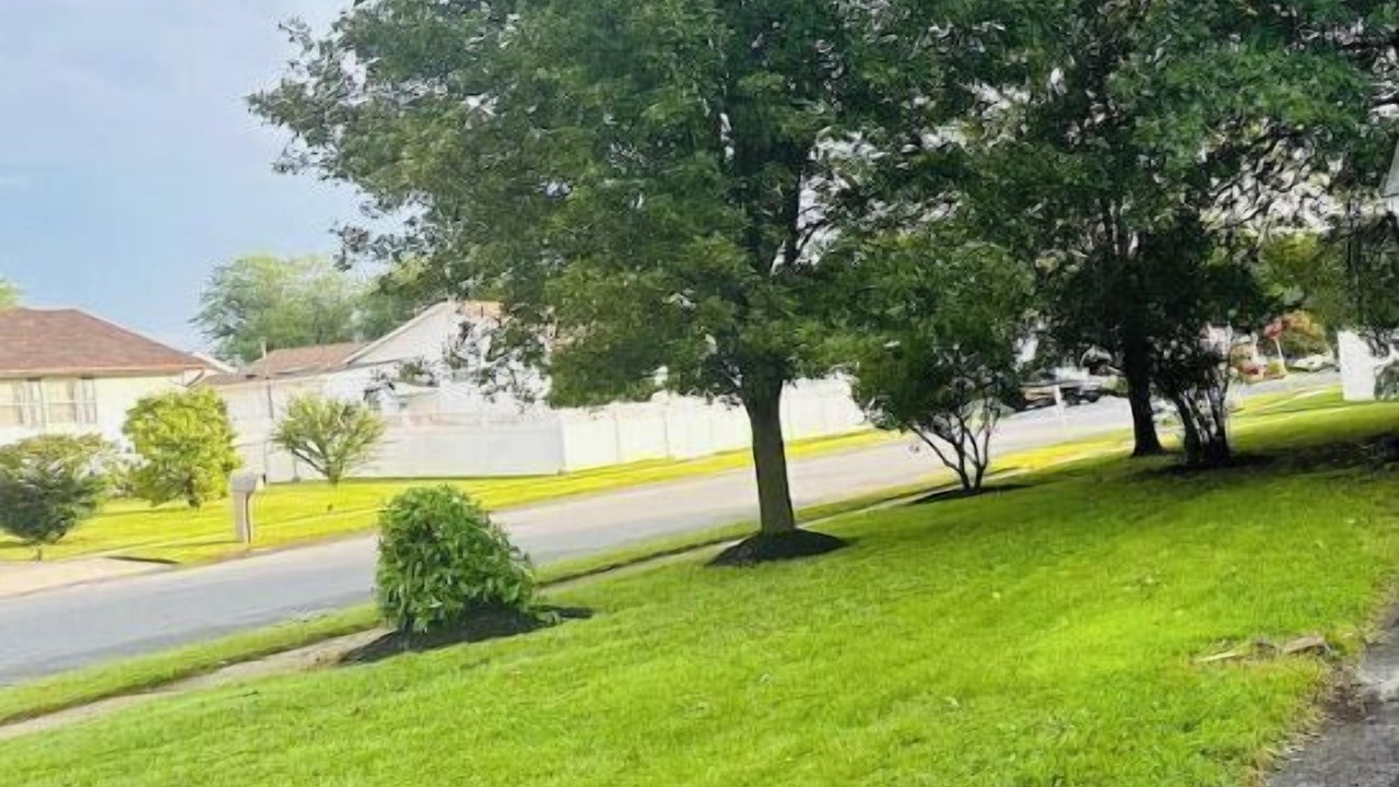 Photo of Others in Newark