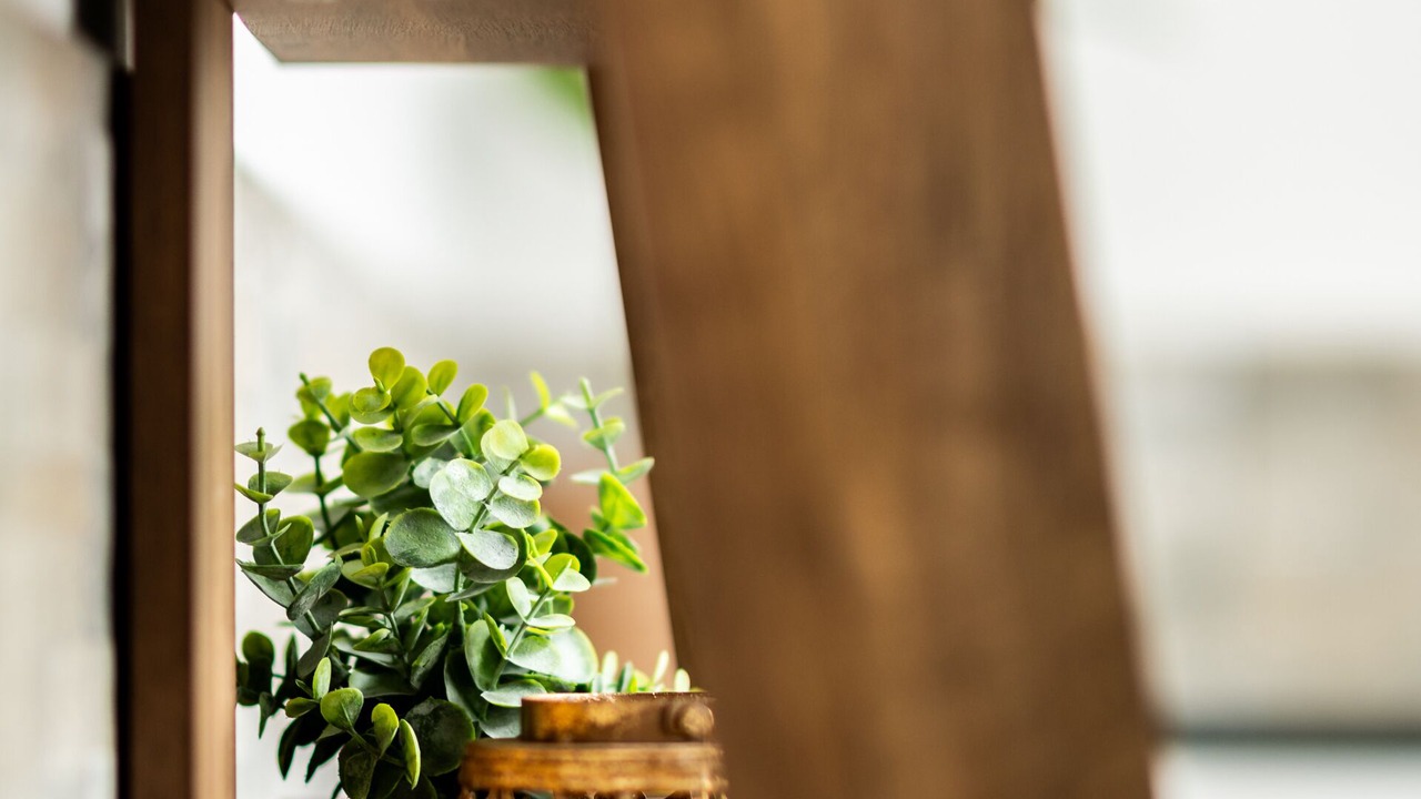 Photo of Outdoor in Amesbury