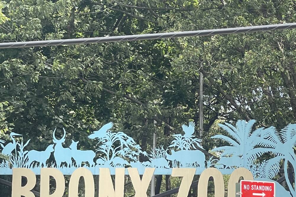 Photo of Others in Williamsbridge