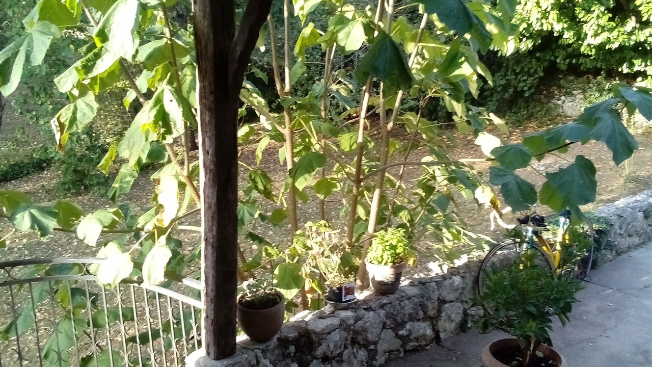 Photo of Patio Balcony in Villeneuve-sur-Lot