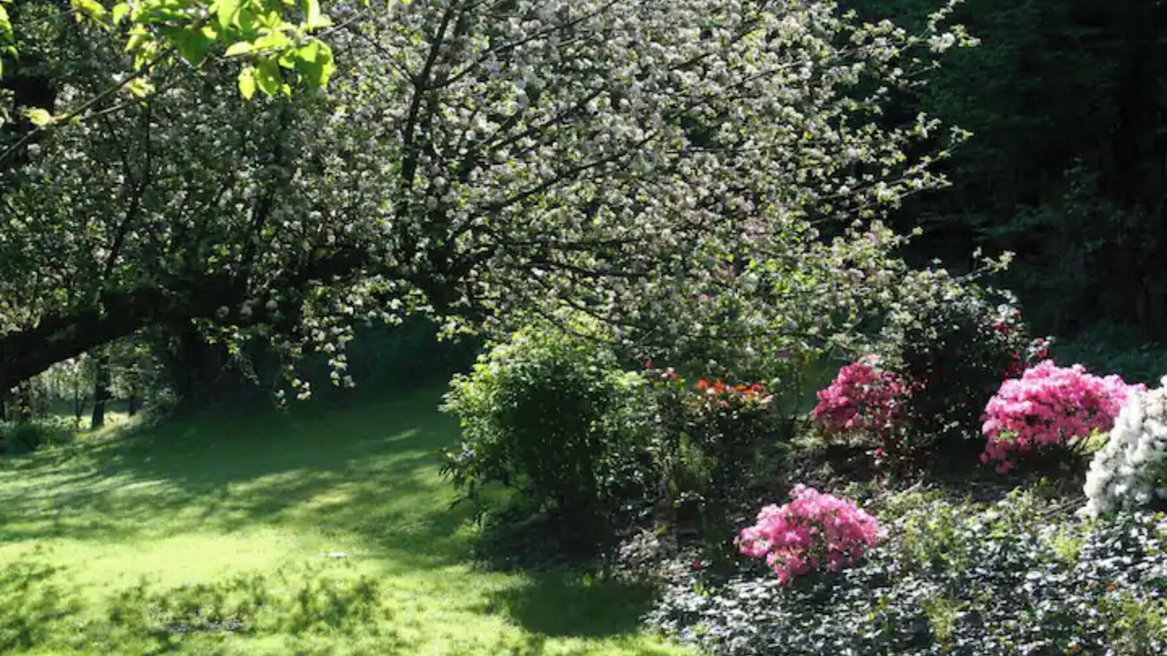 Photo of Outdoor in Les Hautes-Rivieres