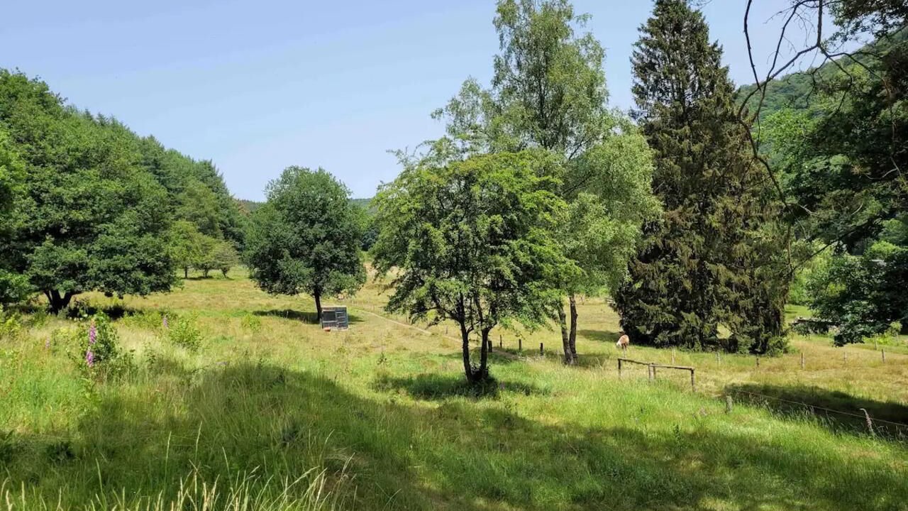Photo of Outdoor in Les Hautes-Rivieres