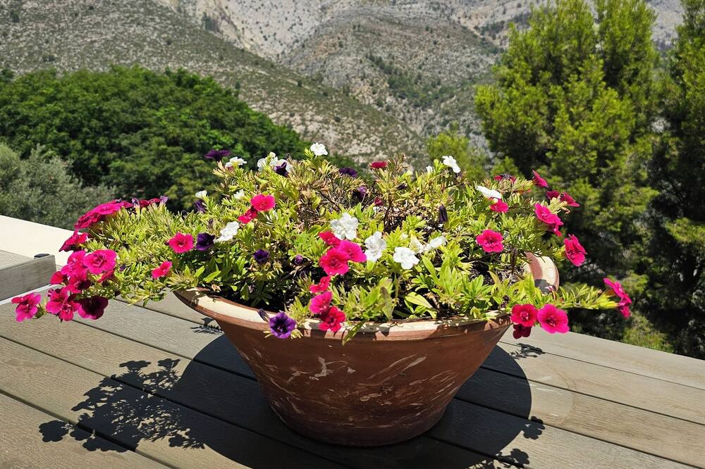 Photo of Patio Balcony in La Vall de Laguar