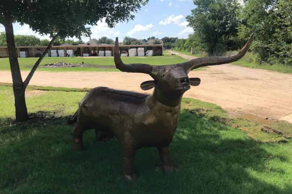 Photo of Outdoor in San Antonio