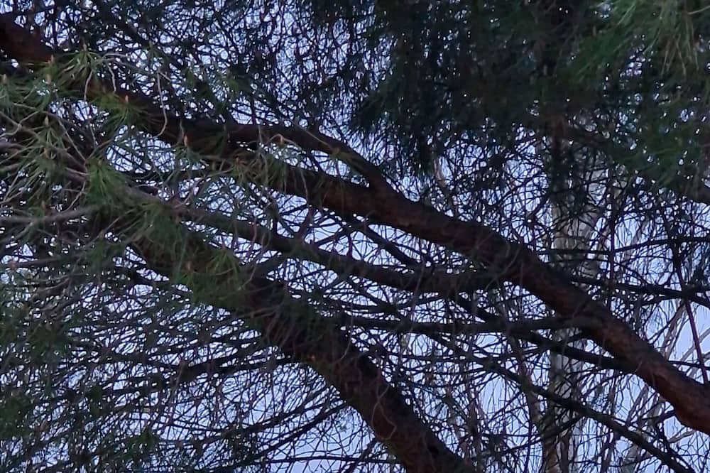 Photo of Outdoor in Grenade