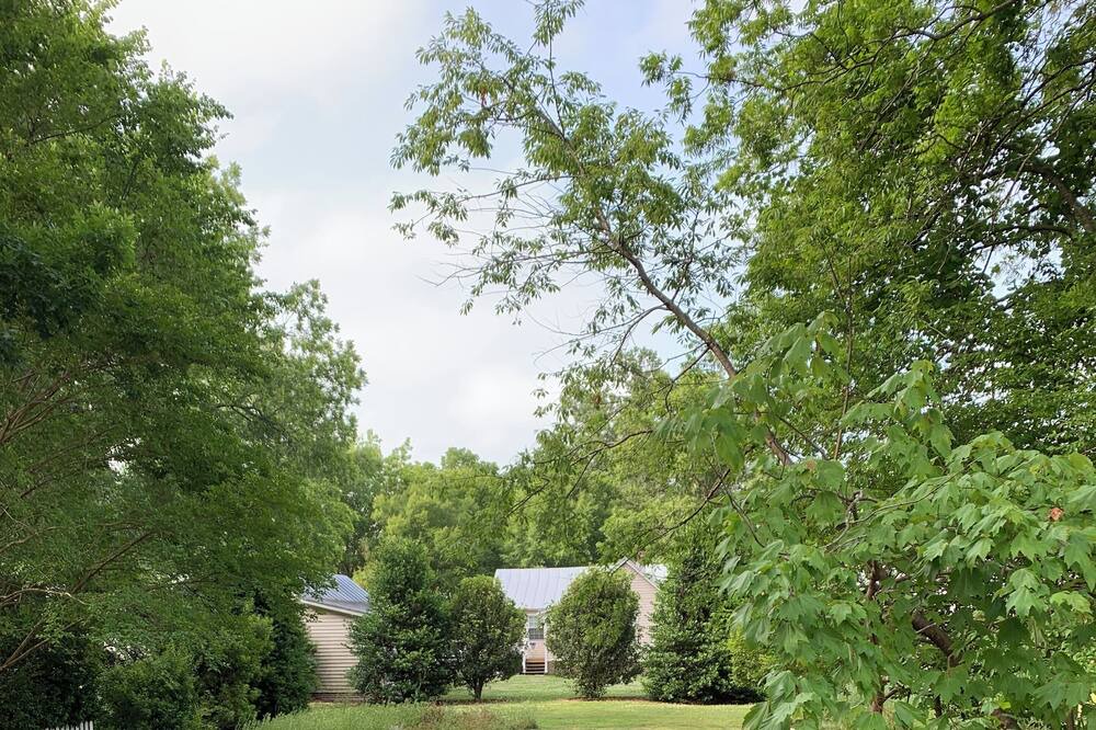 Photo of Outdoor in Edenton