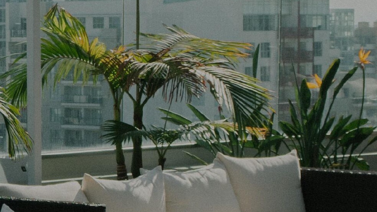 Photo of Outdoor in South End