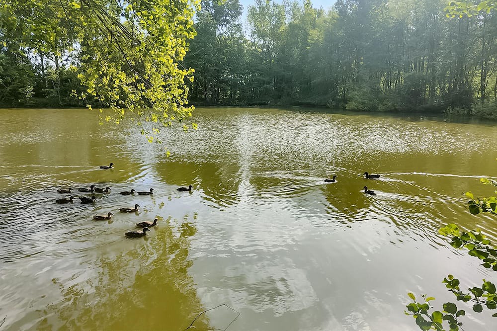 Photo of Others in Bourbourg