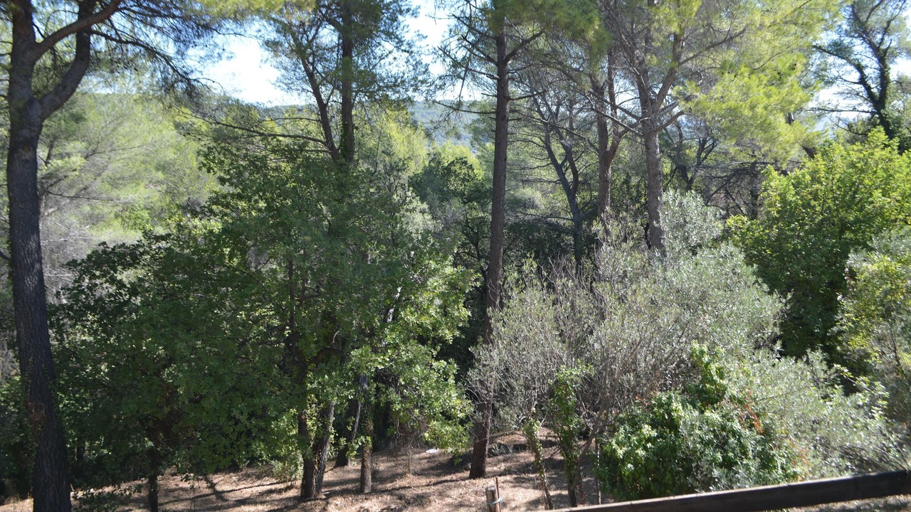 Photo of Others in Figanieres