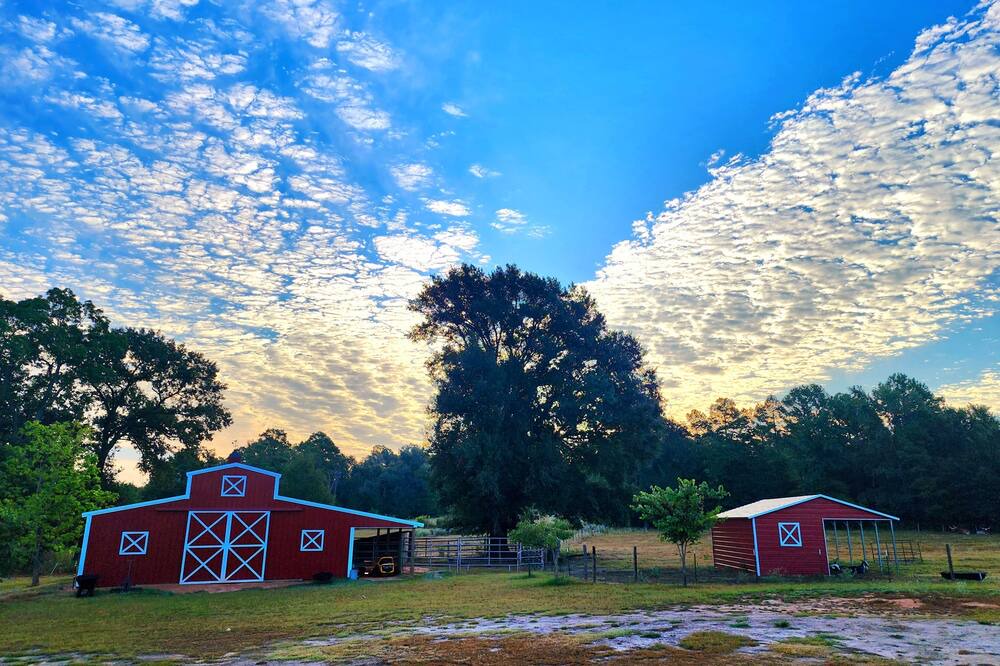 Photo of Outdoor in Kilgore