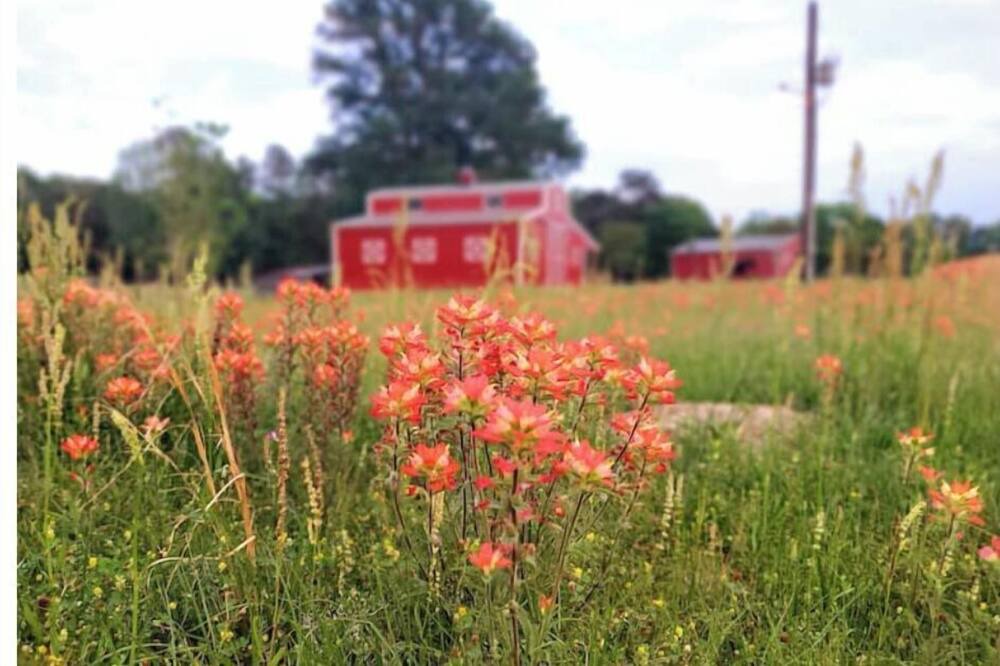 Photo of Outdoor in Kilgore