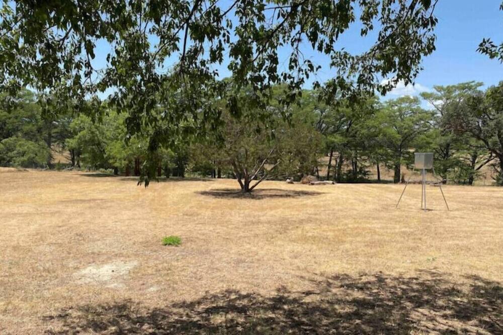 Photo of Outdoor in Medina