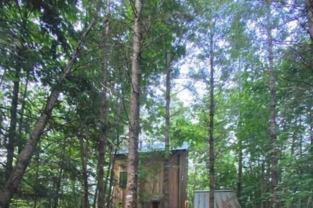 Photo of Outdoor in Concrete