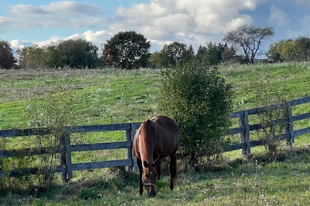 Photo of Others in Richmond Hill