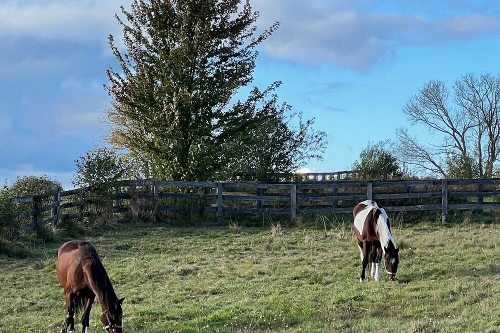 Photo of Outdoor in Richmond Hill