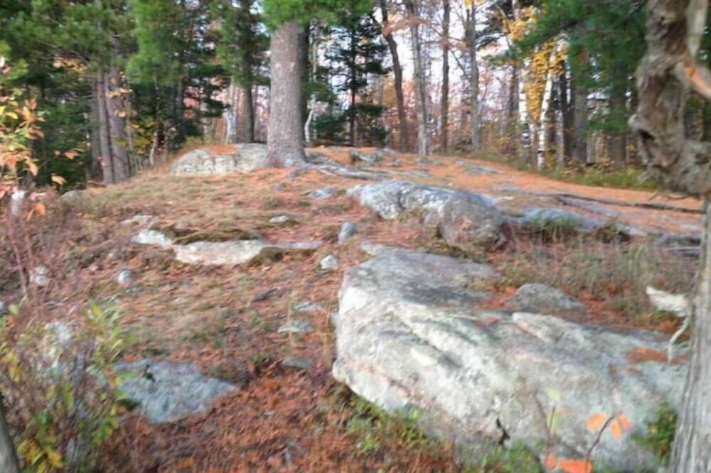 Photo of Outdoor in Hastings Highlands
