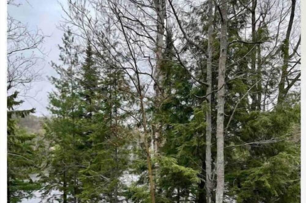 Photo of Outdoor in Hastings Highlands