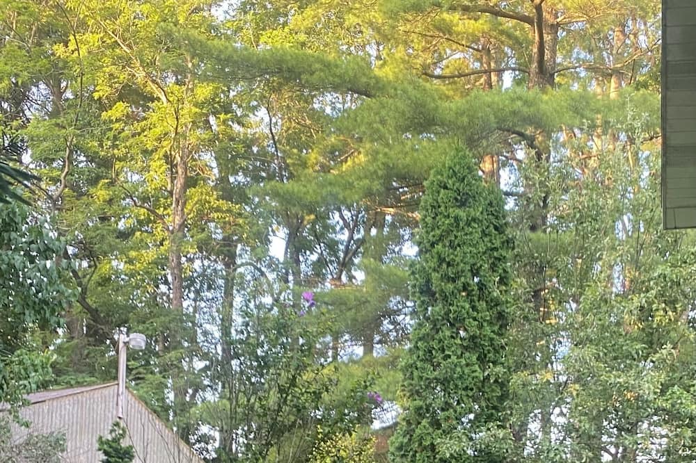 Photo of Outdoor in Blue Jay