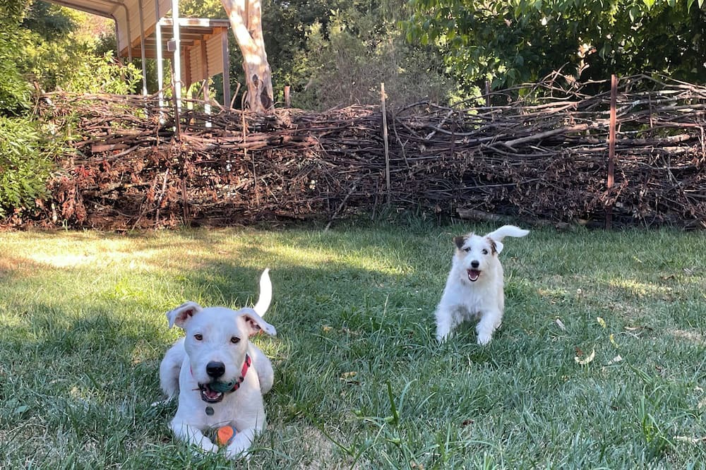 Photo of Others in Vaughan