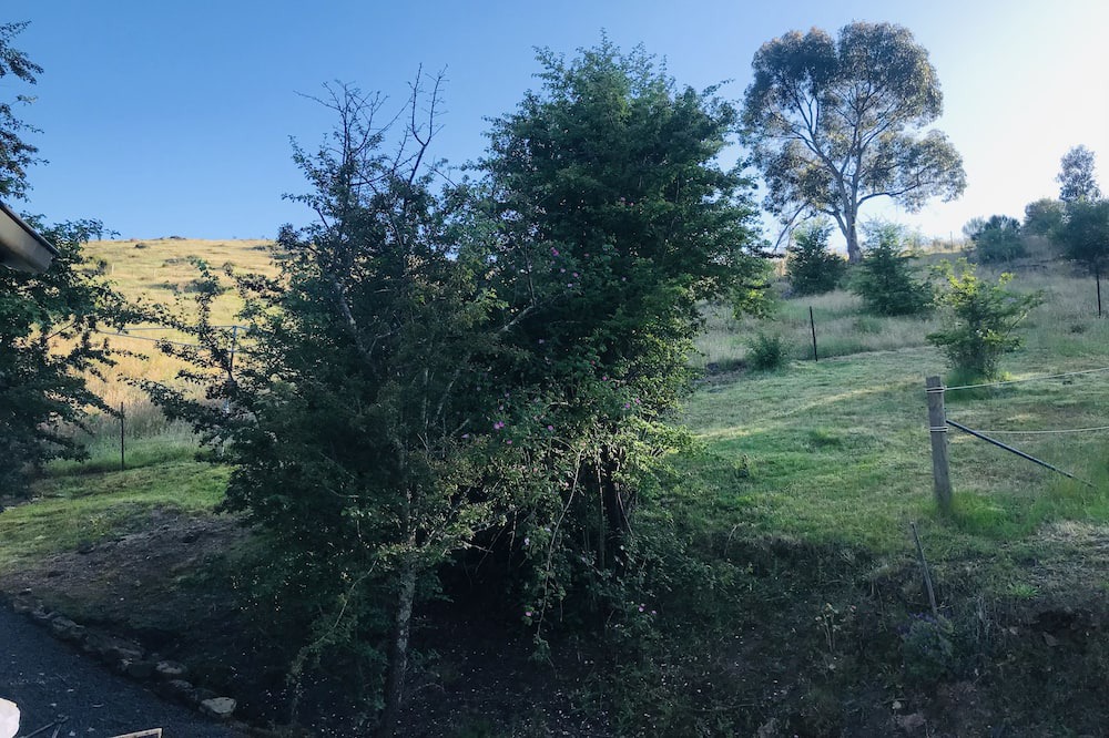 Photo of Others in Vaughan