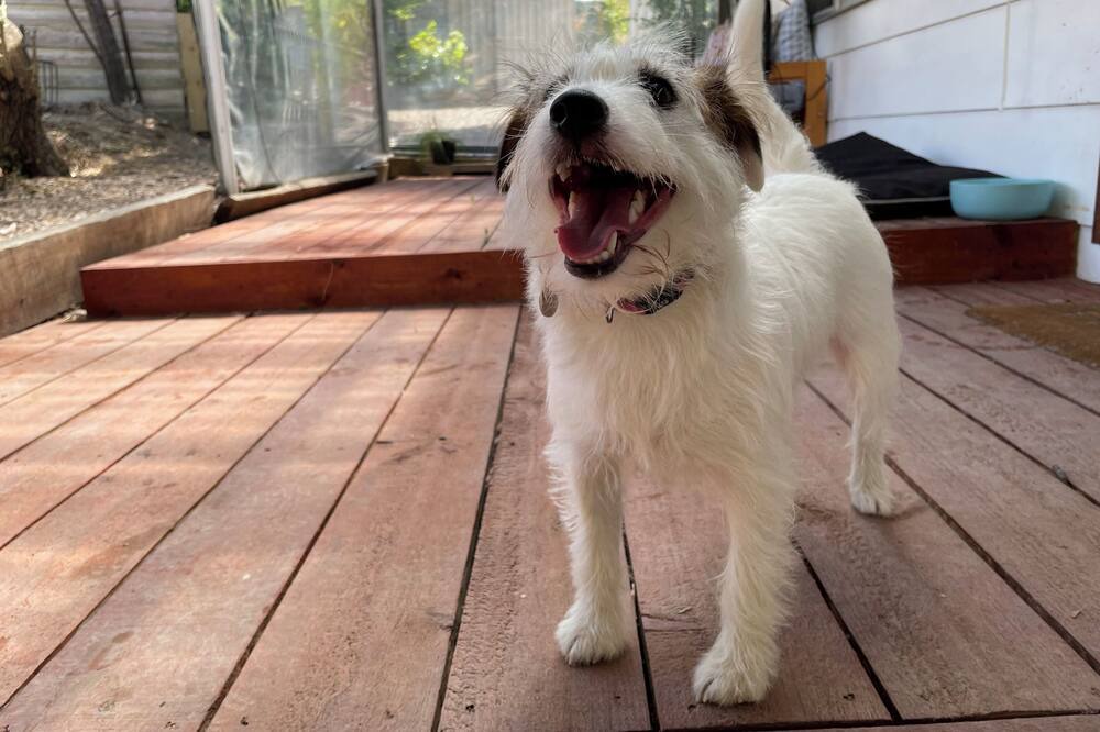 Photo of Outdoor in Vaughan