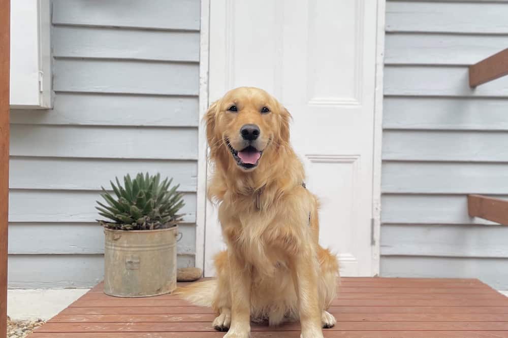 Photo of Outdoor in Vaughan