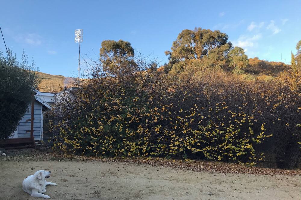 Photo of Outdoor in Vaughan