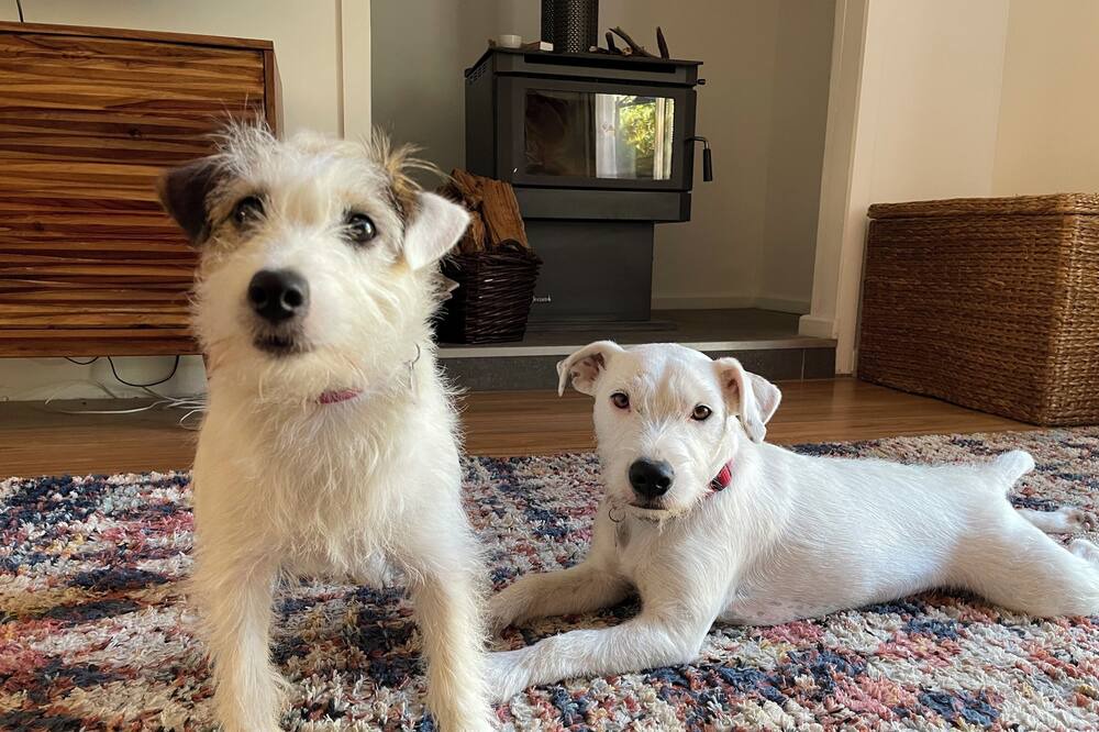 Photo of Others in Vaughan