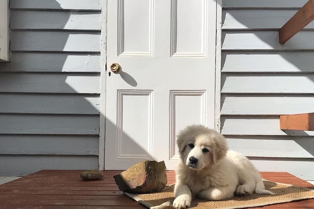 Photo of Others in Vaughan