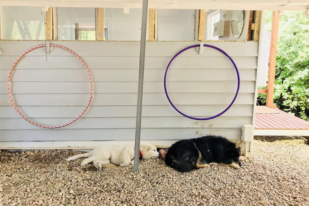 Photo of Others in Vaughan