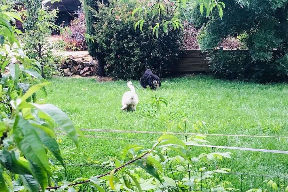 Photo of Outdoor in Vaughan