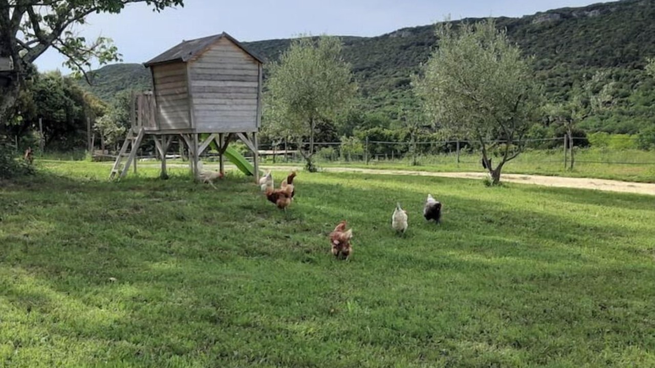 Photo of Others in Saint-Andre-d'Olerargues