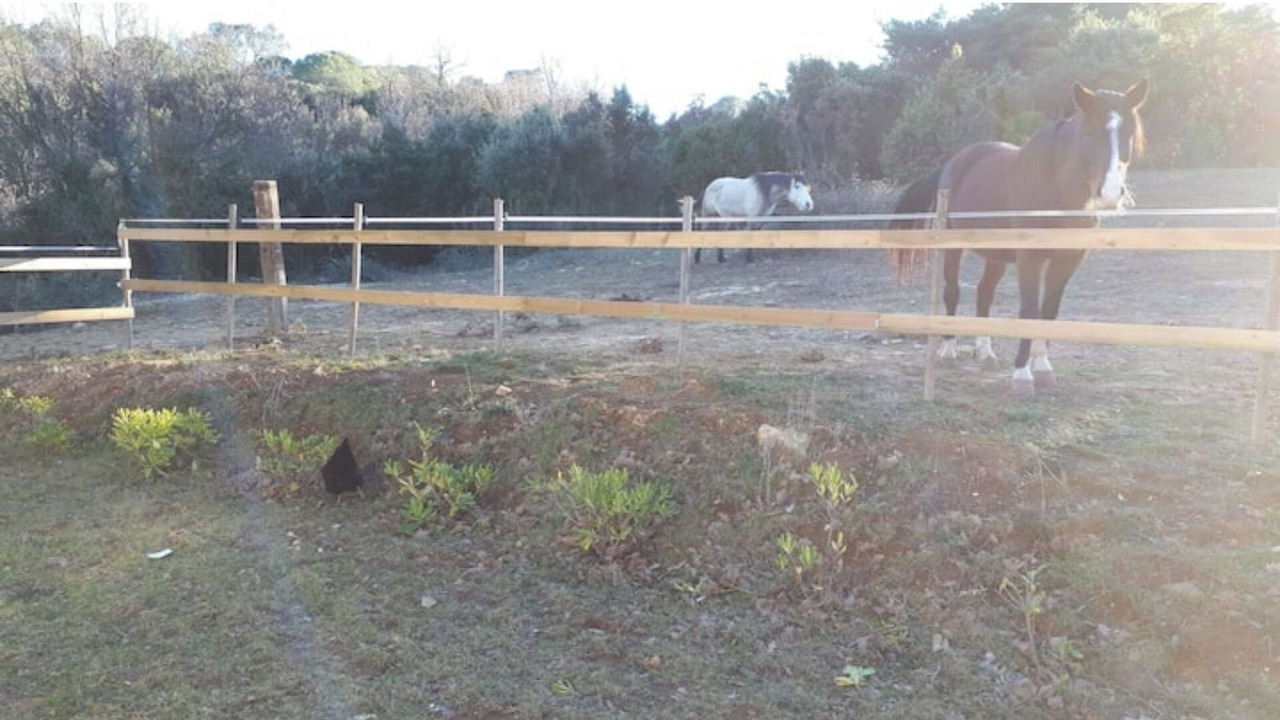 Photo of Outdoor in Saint-Andre-d'Olerargues