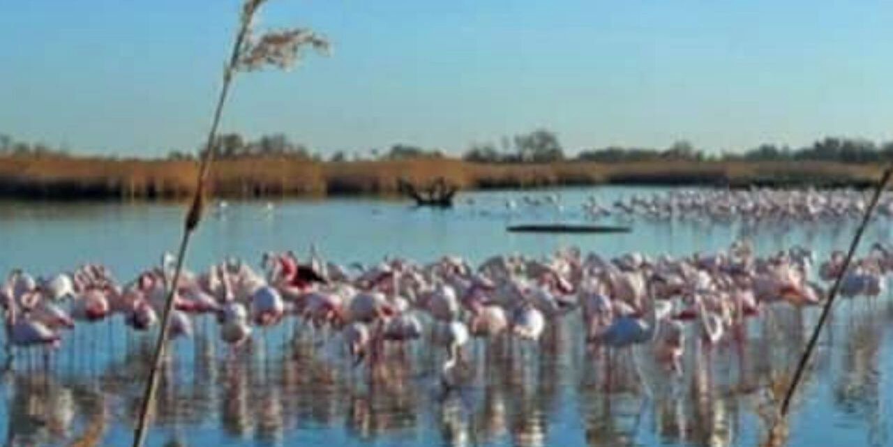 Photo of Others in Saint-Andre-d'Olerargues