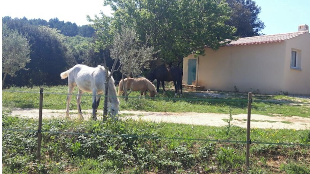 Photo of Outdoor in Saint-Andre-d'Olerargues
