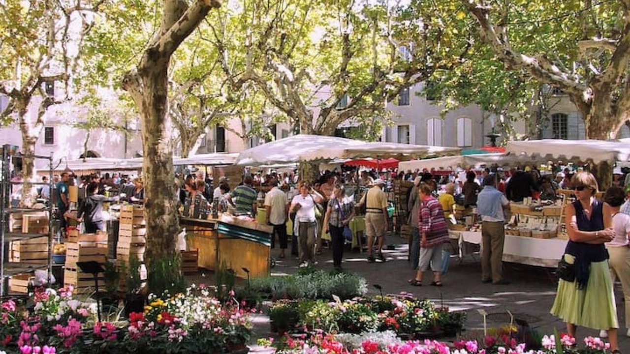 Photo of Outdoor in Saint-Andre-d'Olerargues