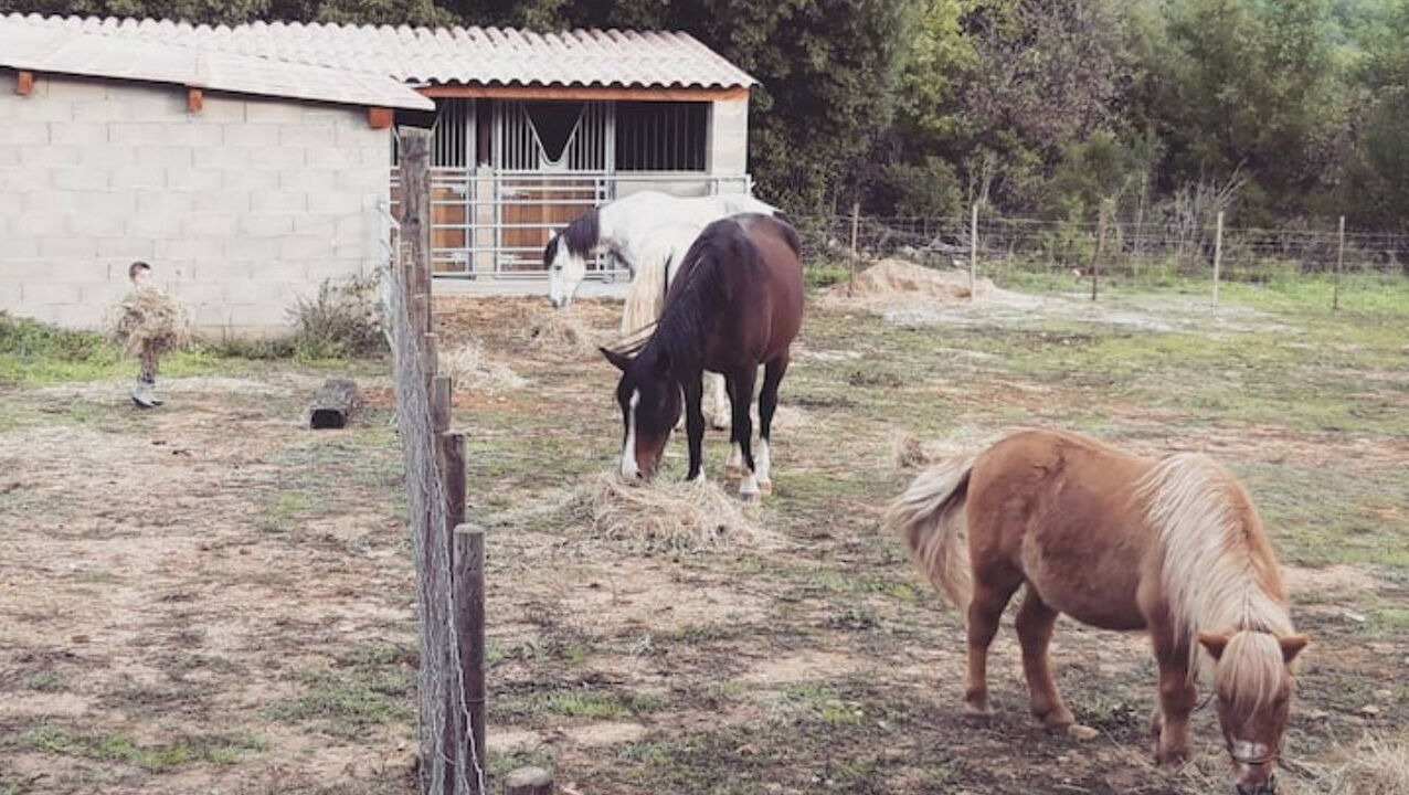 Photo of Outdoor in Saint-Andre-d'Olerargues