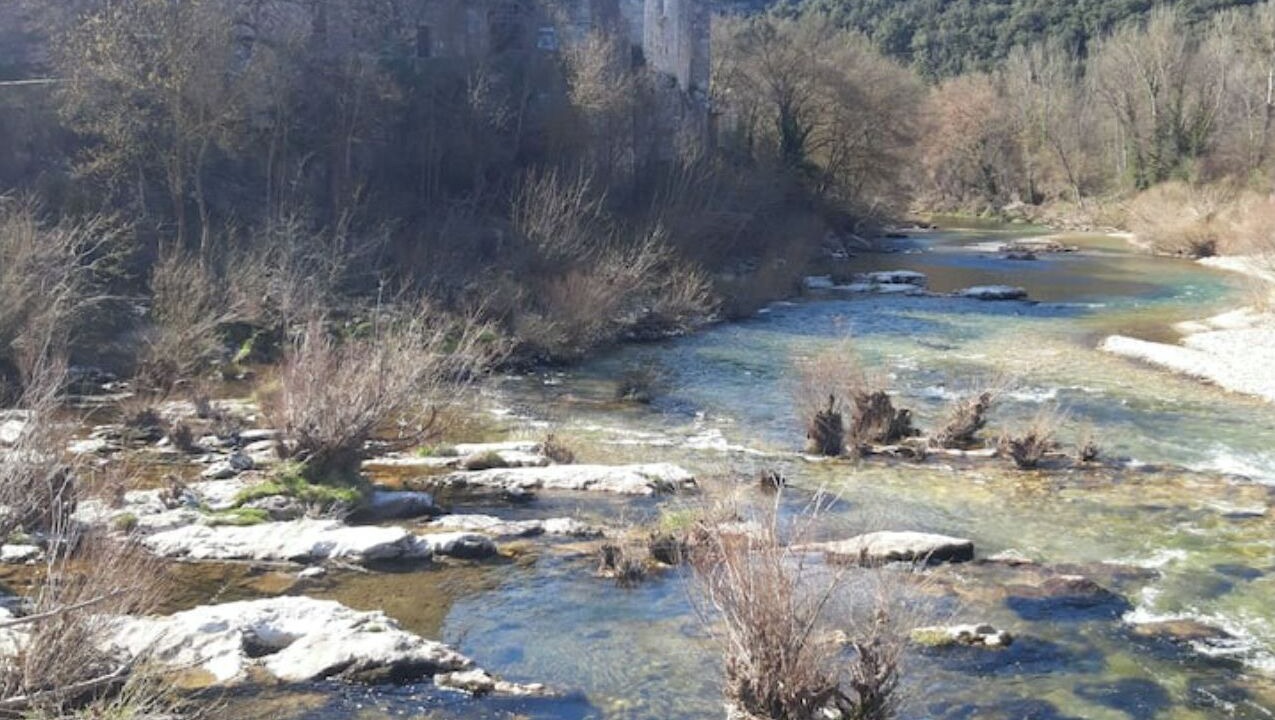 Photo of Others in Saint-Andre-d'Olerargues
