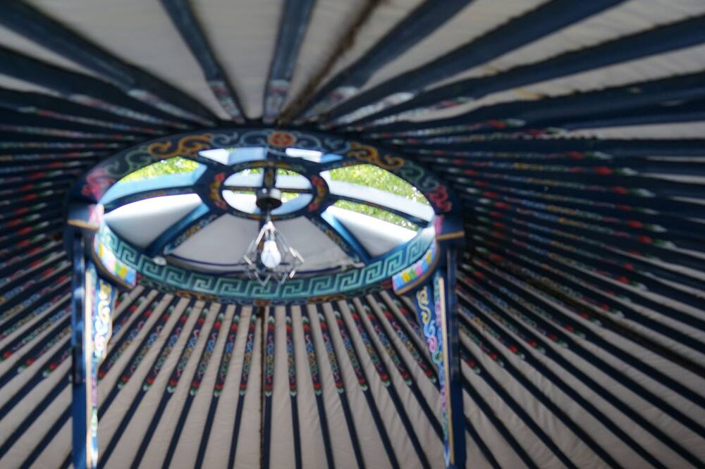 Photo of Outdoor in Longroy