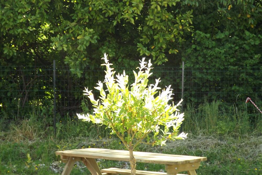 Photo of Outdoor in Longroy