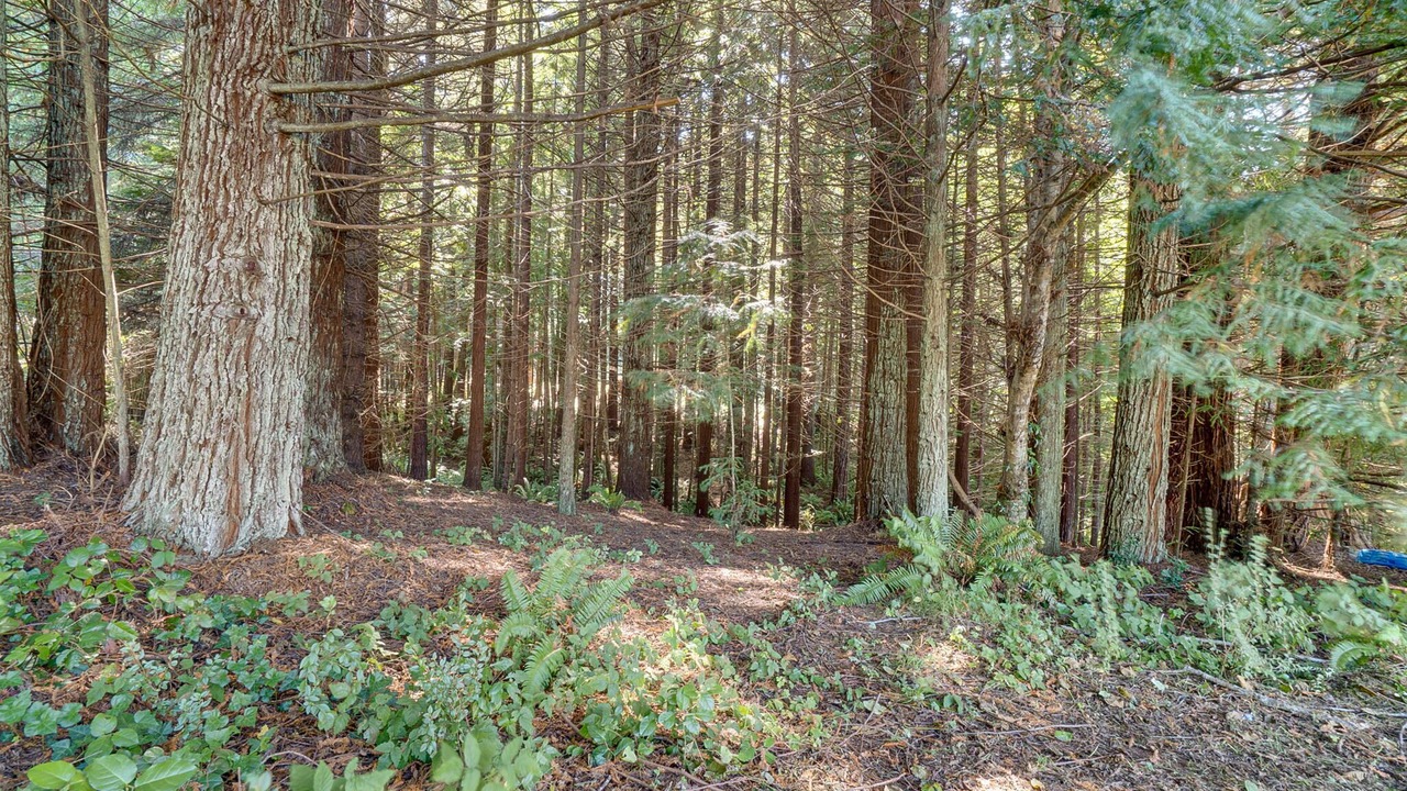 Photo of Outdoor in Jacoby Creek