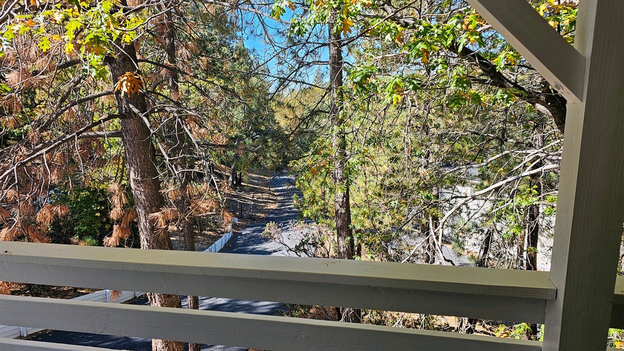Photo of Outdoor in Idyllwild