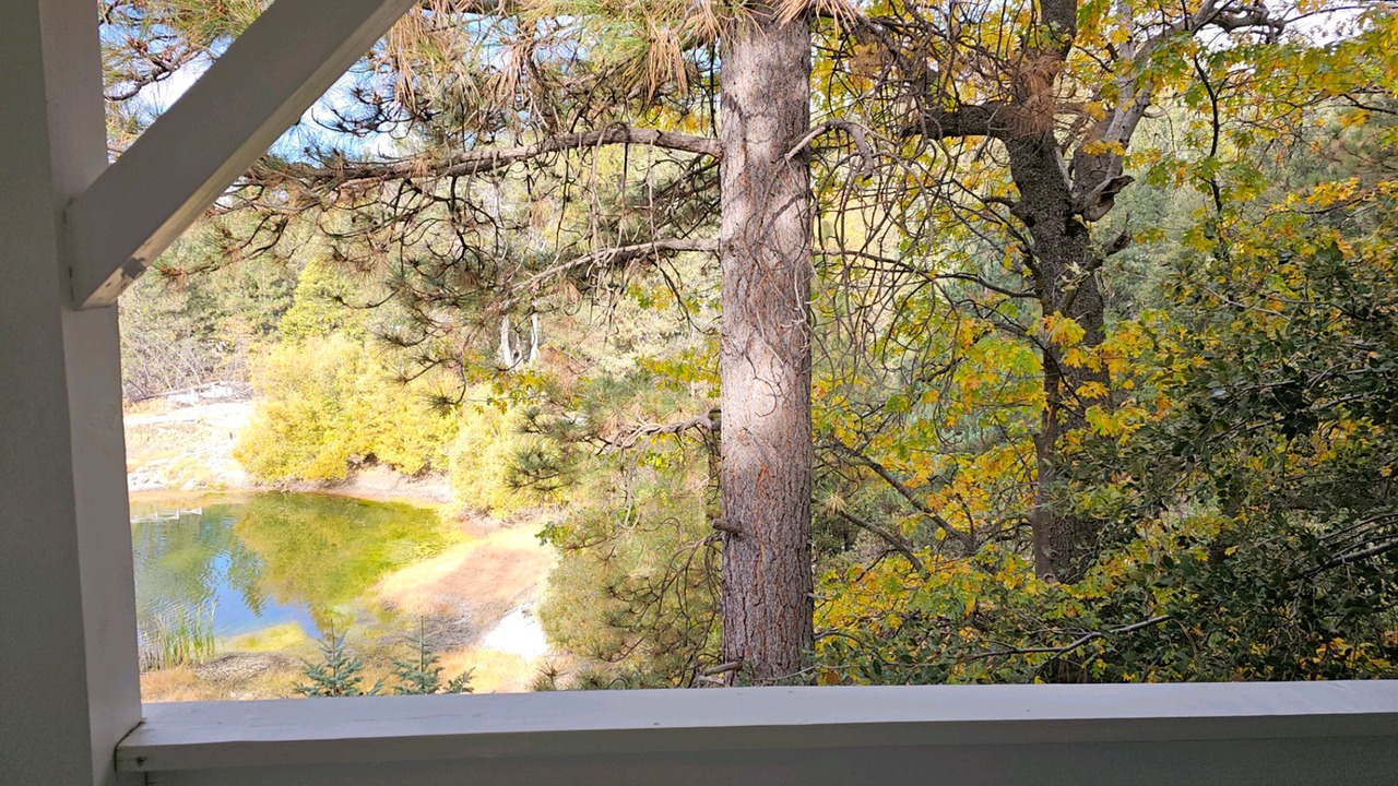 Photo of Outdoor in Idyllwild
