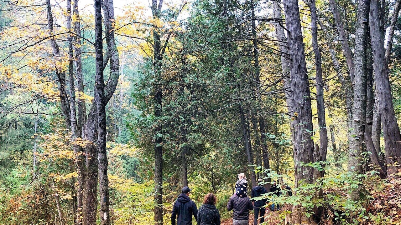 Photo of Outdoor in Grey Highlands