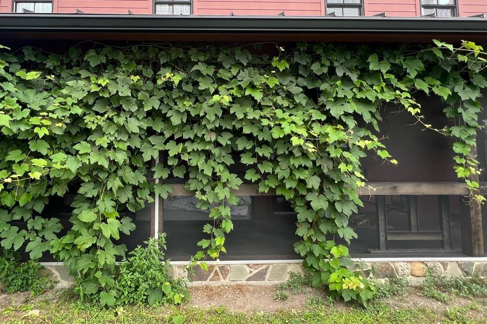 Photo of Outdoor in Hollowville