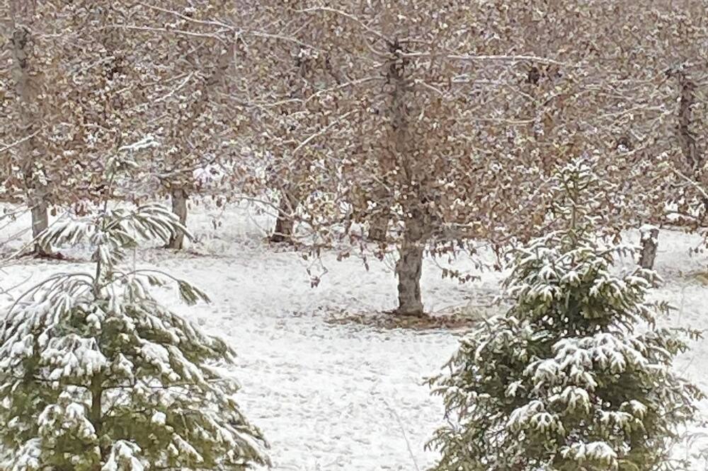 Photo of Outdoor in Hollowville