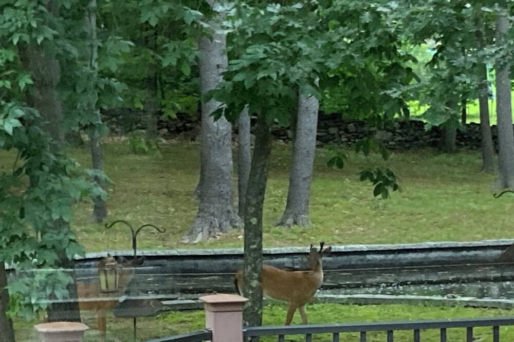 Photo of Outdoor in Hudson