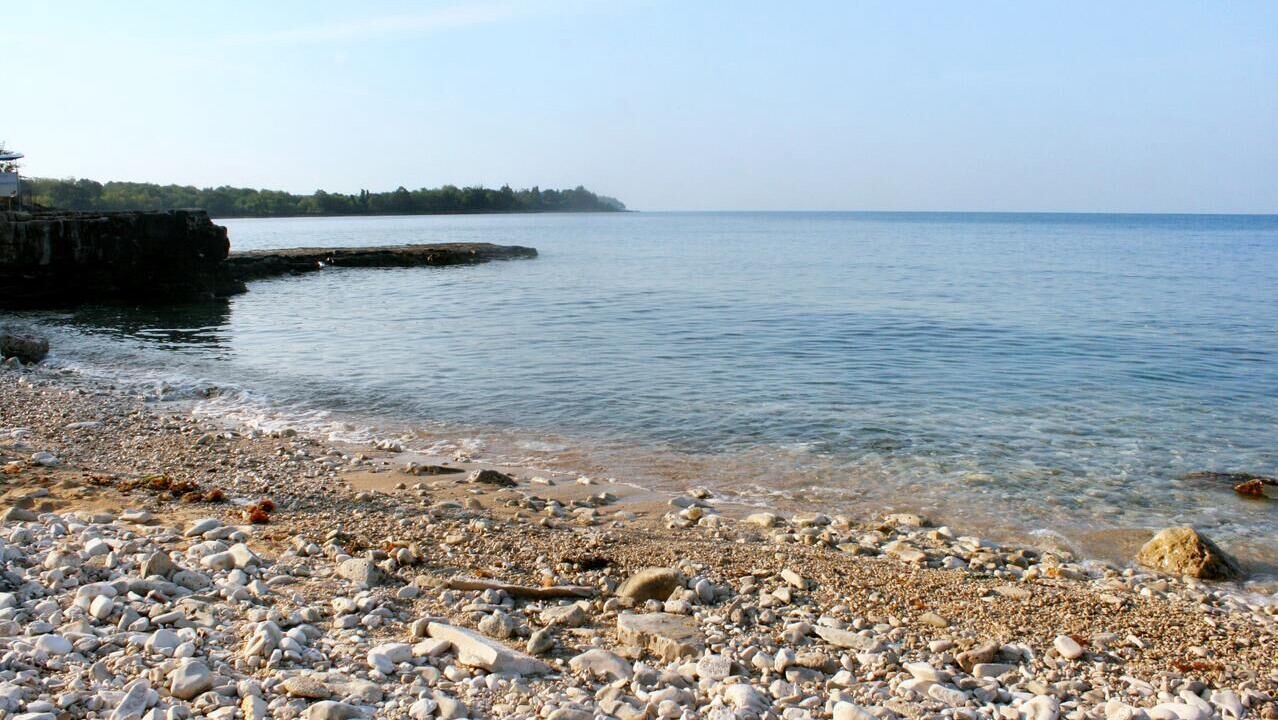 Photo of Others in Mareda
